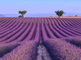 Cocon Authentique de Roussillon