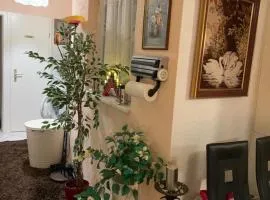 Novi