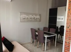 Casa Shalom 2 Room App! Internet! Parking! Sauna! Quiet! Central! Esperanza village!