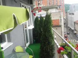 House Prljevic