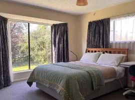 Cozy 3 安逸舒适小屋