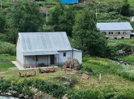 MOUNTAIN HOUSE In ROSHKA
