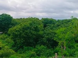 Hampi Anjana home stay