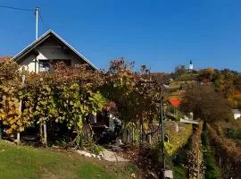 Studio in Novo mesto - dostava - Kranjska Krain 26035