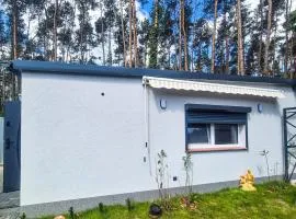 Gorgeous Home In Boruja