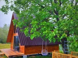 Svanieri Cozy Cottage in the Mountains