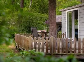 Tiny cabin in bosrijke omgeving de Veluwe - met terras, tuin en fietsschuurtje