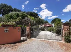 La casa di Priscilla