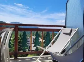 Le Panorama de Valberg