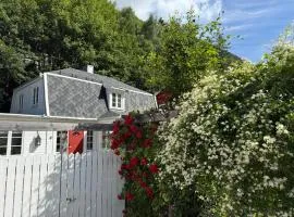 Villa Rjukan