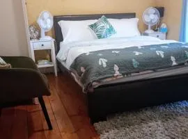 A Comfy Bedroom and Bathroom on own private floor in a Home Stay 10 minutes Walk to the Ctr Free Parking