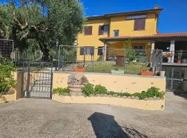 mariposa