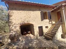 Agriturismo Villa Paradisino MUSICO