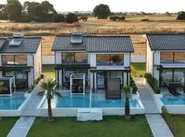 Villa Roza