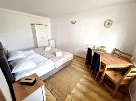 Odyseja
