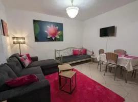 Express To Go Apartment