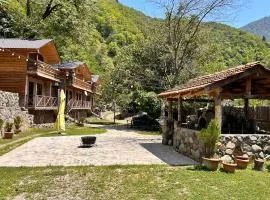 Cottages in mountains
