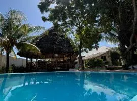 Kimti 2villa Nungwi
