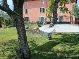 Casale - La Camera di Leda
