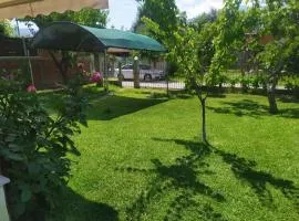 IOANNIS SEASIDE VILLA