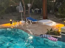 A historic STONE VILLA with private garden, terrace and private pool just for you