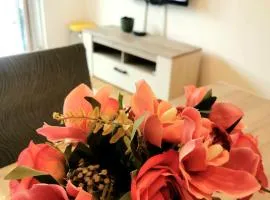 Trajkovic One Bedroom Apartment