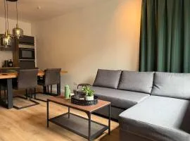 Modern 1BR Apt Near Station & Center in Sittard
