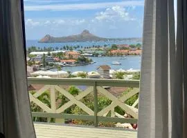Paradise View
