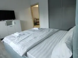 Studio Vata