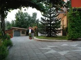 La Casa Sull'aia,AV