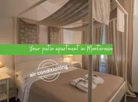 Sciacchetrà Ground Floor Apartment with AC