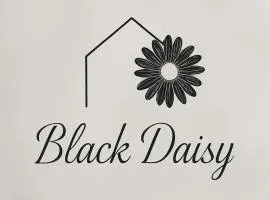 Black Daisy