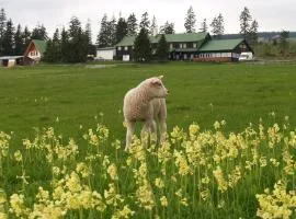 Lesní Bouda