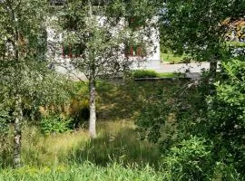 Nyrenoverad lägenhet centralt, nära till kust och natur