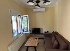 Phoenix Apartment