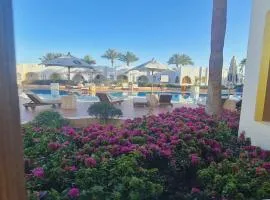 Domina Coral Bay Harem uno