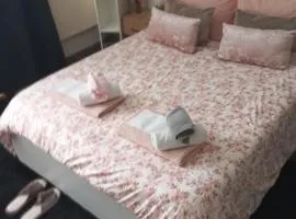 flowers room au coeur de saint Ouen parking gratuit
