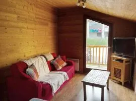 Appt T2 pied des pistes