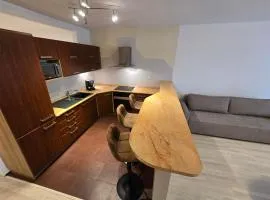 Apartment Vodni with parking