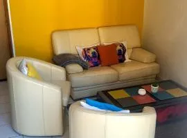 Apparte Cosy Avec Terrasse Et Parking