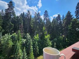 Borovets Violet by Ski slopes, hotel pet friendly a Borovets