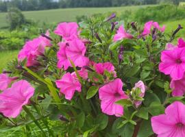 Marija, hotel com estacionamento em Kraslava