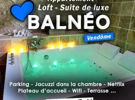 Loft Suite de luxe - Jacuzzi - SPA - Balnéo Vendôme