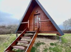 Casa Șoimului - A-Frame