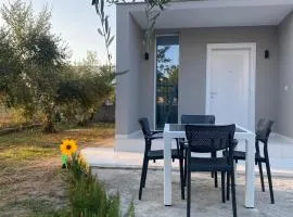 Villa Oliver