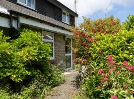 Clover at Gorslwyd - Sound Retreat