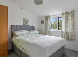 Cornflower at Gorslwyd - Sound Retreat