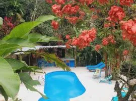 Plaza Tucanito - jungle up your life