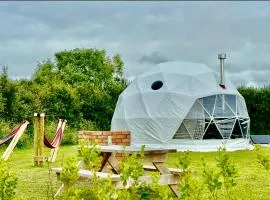 Alpaca Geo Dome