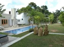 Villa Green Bamboo